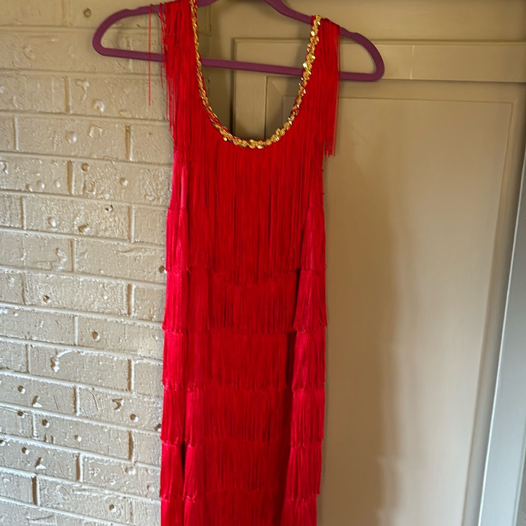 California Costumes Fringe Dress